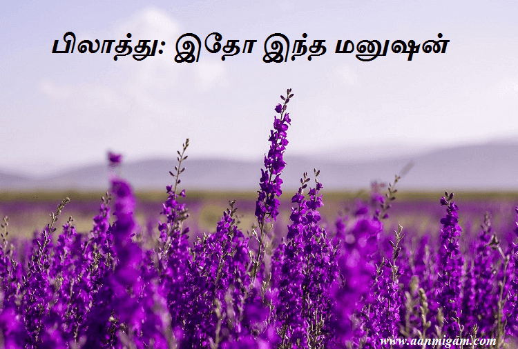 பிலாத்து இதோ இந்த மனுஷன்-jesus