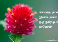 பிலாத்து, நான் இவரிடத்தில் ஒரு குற்றமும் காணேன்