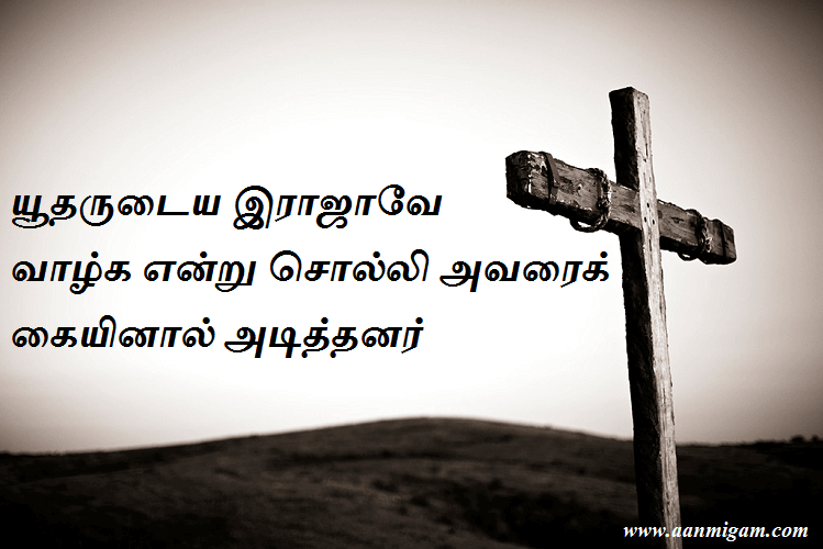 யூதருடைய இராஜாவே வாழ்க என்று சொல்லி அவரைக் கையினால் அடித்தனர்