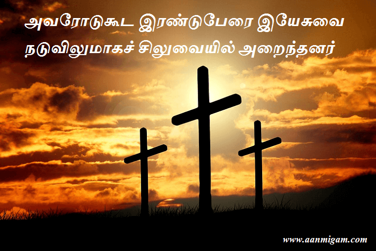 அவரோடுகூட இரண்டுபேரை இயேசுவை நடுவிலுமாகச் சிலுவையில் அறைந்தனர்