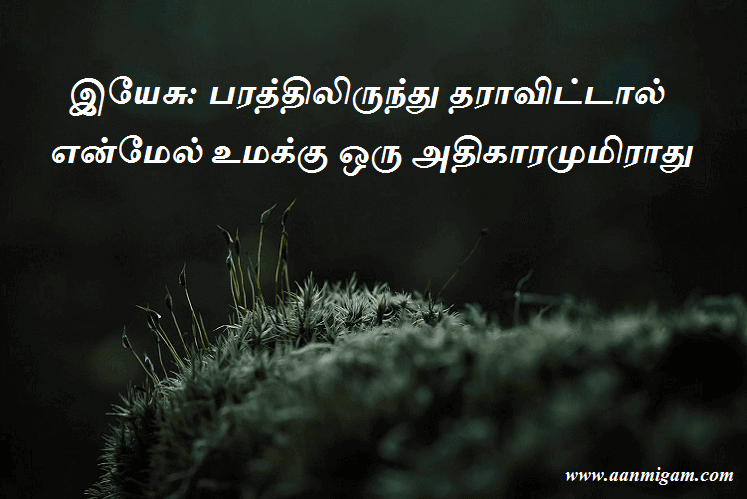 இயேசு பரத்திலிருந்து தராவிட்டால் என்மேல் உமக்கு ஒரு அதிகாரமுமிராது