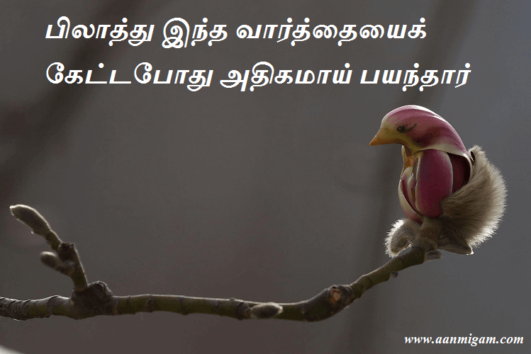 பிலாத்து இந்த வார்த்தையைக் கேட்டபோது அதிகமாய் பயந்தார்