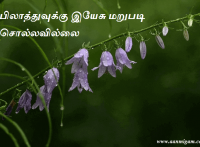 பிலாத்துவுக்கு இயேசு மறுபடி சொல்லவில்லை.