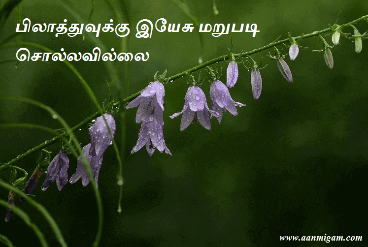 பிலாத்துவுக்கு இயேசு மறுபடி சொல்லவில்லை.