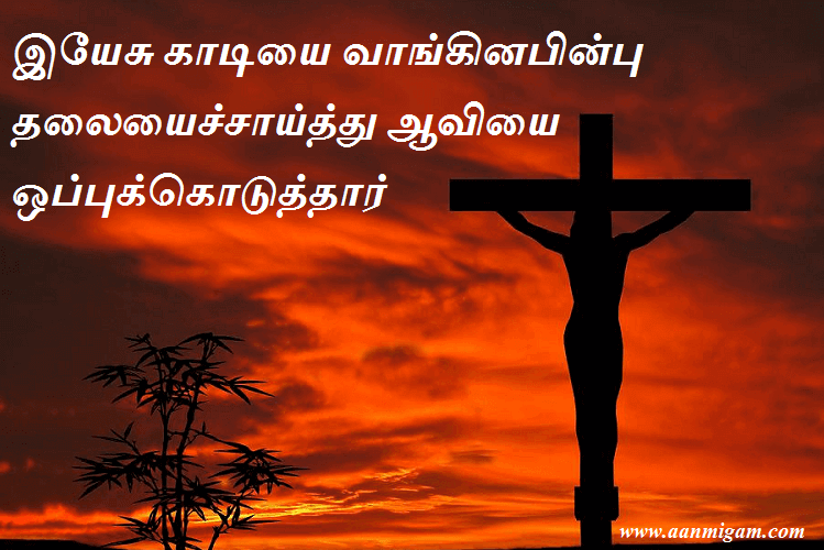 இயேசு காடியை வாங்கினபின்பு தலையைச்சாய்த்து ஆவியை ஒப்புக்கொடுத்தார்