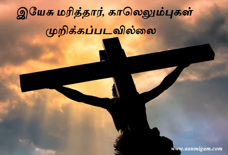 இயேசு மரித்தார், காலெலும்புகள் முறிக்கப்படவில்லை
