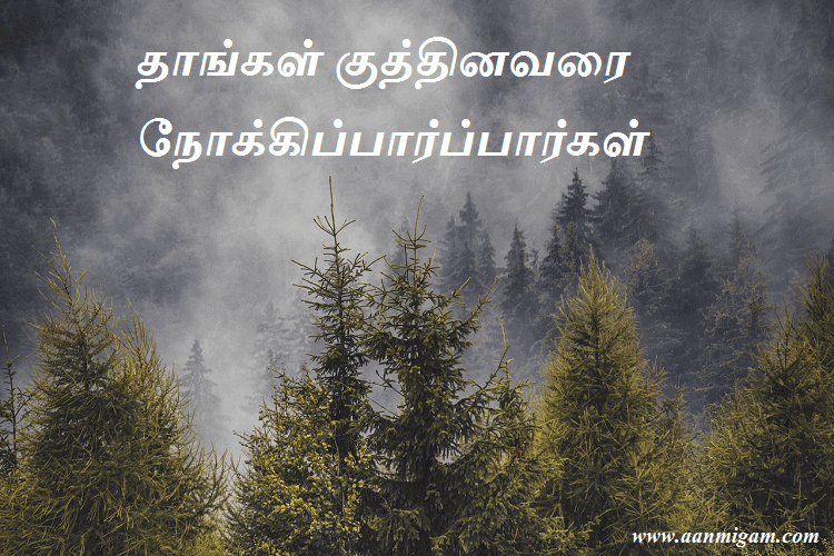 தாங்கள் குத்தினவரை நோக்கிப்பார்ப்பார்கள்
