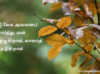 இயேசு அவளைப் பார்த்து, ஏன் அழுகிறாய், யாரைத் தேடுகிறாய்