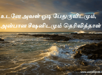 உடனே அவள் ஓடி பேதுருவிடமும், அன்பான சீஷனிடமும் தெரிவித்தாள்