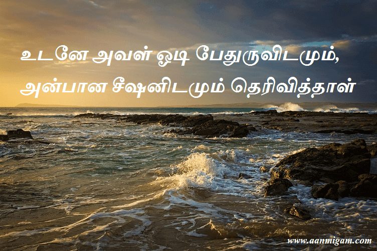 உடனே அவள் ஓடி பேதுருவிடமும், அன்பான சீஷனிடமும் தெரிவித்தாள்