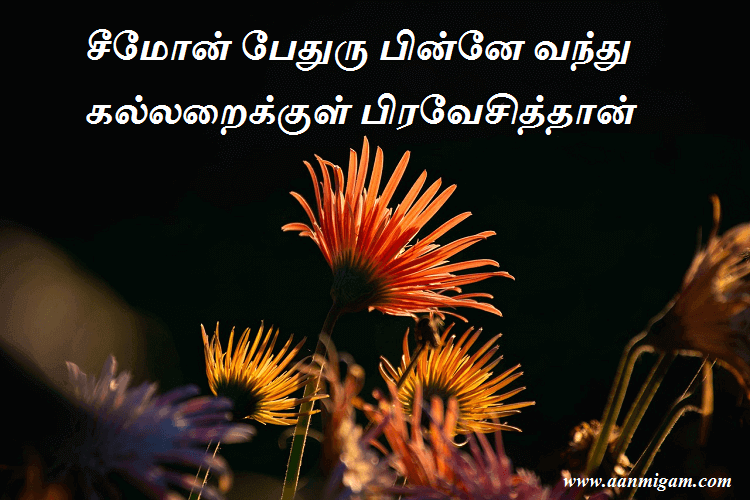 சீமோன் பேதுரு பின்னே வந்து கல்லறைக்குள் பிரவேசித்தான்