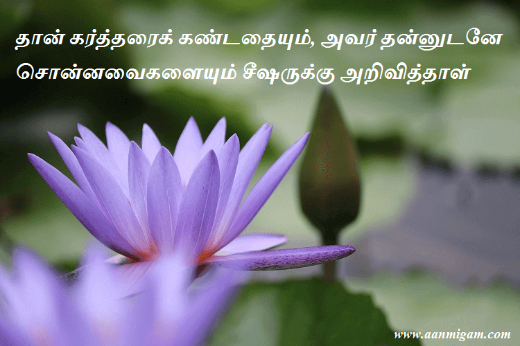 தான் கர்த்தரைக் கண்டதையும், அவர் தன்னுடனே சொன்னவைகளையும் சீஷருக்கு அறிவித்தாள்