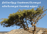 நிக்கொதேமு வெள்ளைப்போளமும் கரியபோளமும் கொண்டு வந்தார்