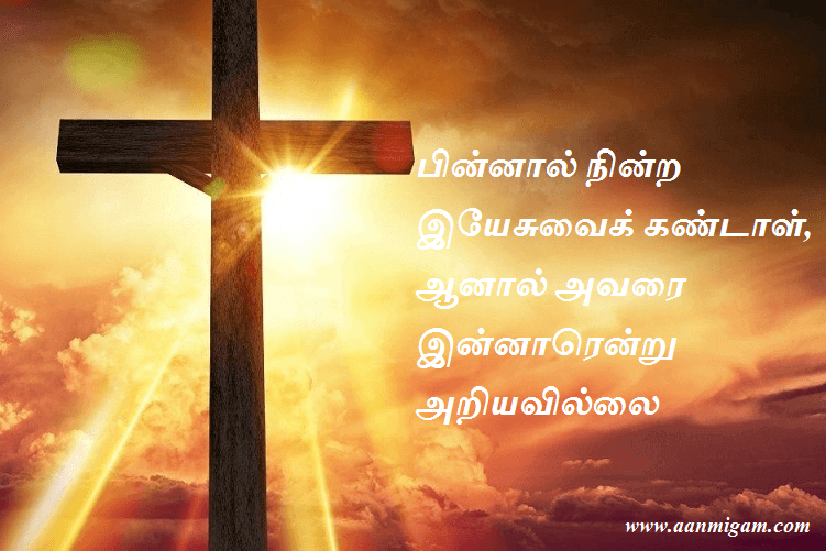 பின்னால் நின்ற இயேசுவைக் கண்டாள், ஆனால் அவரை இன்னாரென்று அறியவில்லை