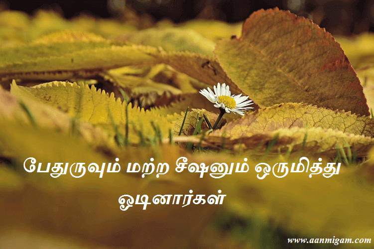 பேதுருவும் மற்ற சீஷனும் ஒருமித்து ஓடினார்கள்