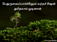 பேதுருவைப்பார்க்கிலும் மற்றச் சீஷன் துரிதமாய் ஓடினான்