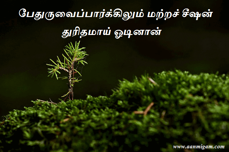 பேதுருவைப்பார்க்கிலும் மற்றச் சீஷன் துரிதமாய் ஓடினான்