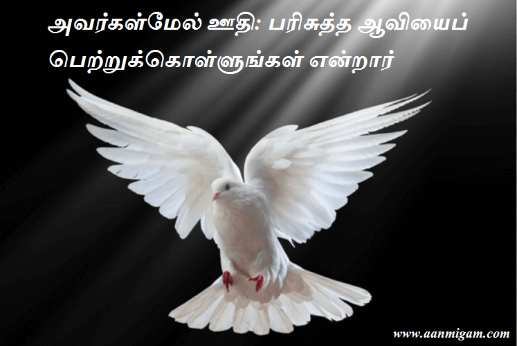 அவர்கள்மேல் ஊதி பரிசுத்த ஆவியைப் பெற்றுக்கொள்ளுங்கள் என்றார்