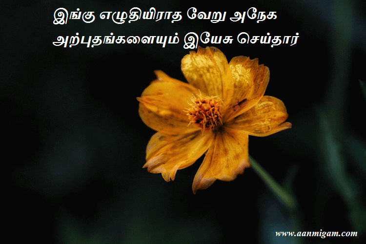 இங்கு எழுதியிராத வேறு அநேக அற்புதங்களையும் இயேசு செய்தார்
