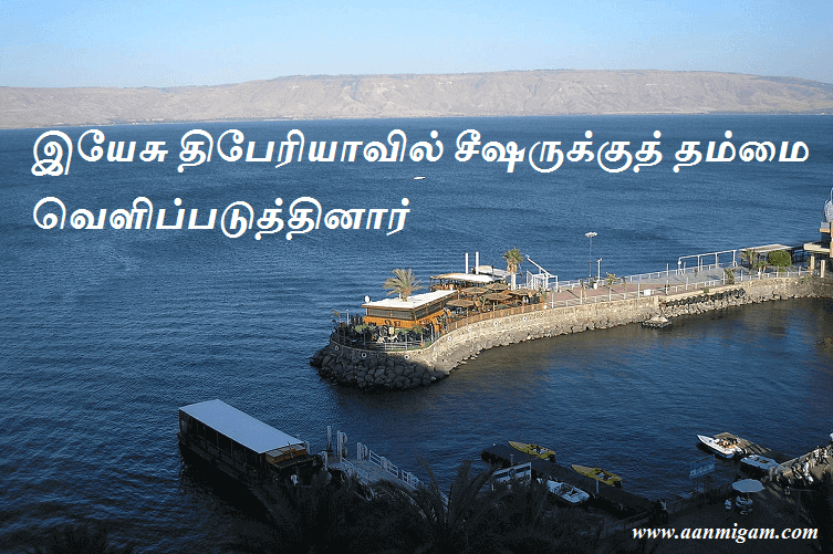 இயேசு திபேரியாவில் சீஷருக்குத் தம்மை வெளிப்படுத்தினார்