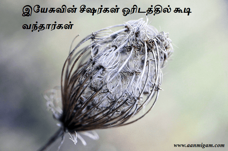 இயேசுவின் சீஷர்கள் ஓரிடத்தில் கூடி வந்தார்கள்