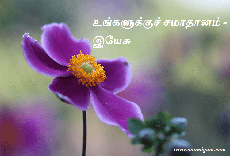 உங்களுக்குச் சமாதானம்-இயேசு