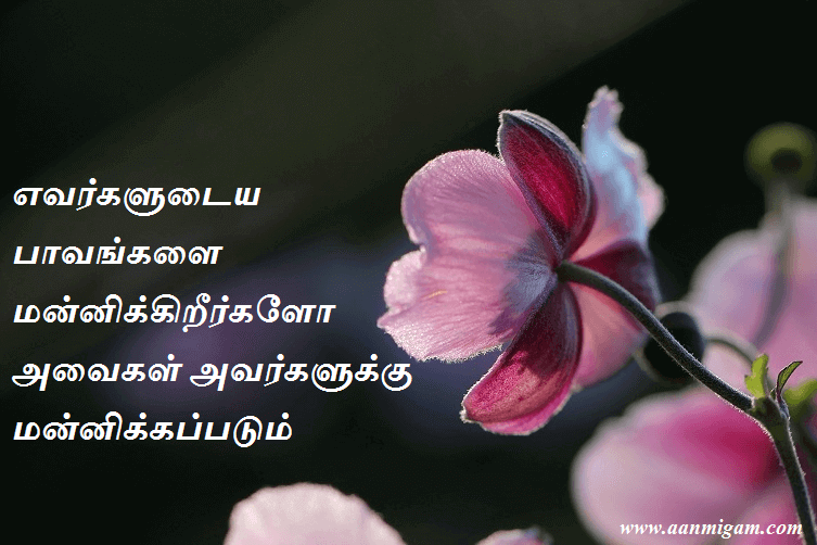 எவர்களுடைய பாவங்களை மன்னிக்கிறீர்களோ அவைகள் அவர்களுக்கு மன்னிக்கப்படும்