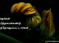 சீஷர்கள் கர்த்தரைக்கண்டு சந்தோஷப்பட்டார்கள்