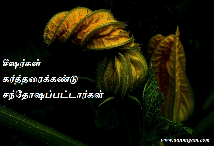 சீஷர்கள் கர்த்தரைக்கண்டு சந்தோஷப்பட்டார்கள்