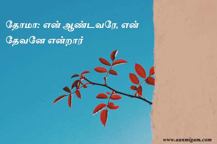 தோமா என் ஆண்டவரே, என் தேவனே என்றார்