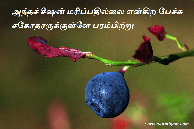 அந்தச் சீஷன் மரிப்பதில்லை என்கிற பேச்சு சகோதரருக்குள்ளே பரம்பிற்று.