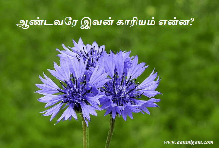 ஆண்டவரே இவன் காரியம் என்ன?