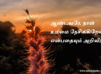 ஆண்டவரே, நான் உம்மை நேசிக்கிறேன் என்பதையும் அறிவீர்