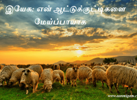 இயேசு: என் ஆட்டுக்குட்டிகளை மேய்ப்பாயாக
