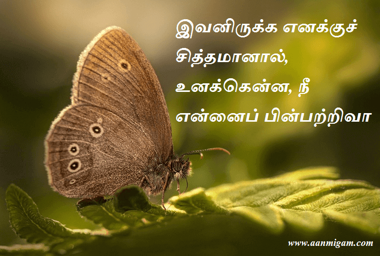 இவனிருக்க எனக்குச் சித்தமானால், உனக்கென்ன, நீ என்னைப் பின்பற்றிவா