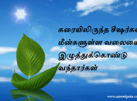 கரையிலிருந்த சீஷர்கள் மீன்களுள்ள வலையை இழுத்துக்கொண்டு வந்தார்கள்.