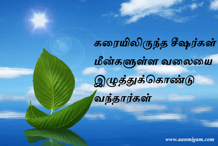 கரையிலிருந்த சீஷர்கள் மீன்களுள்ள வலையை இழுத்துக்கொண்டு வந்தார்கள்.