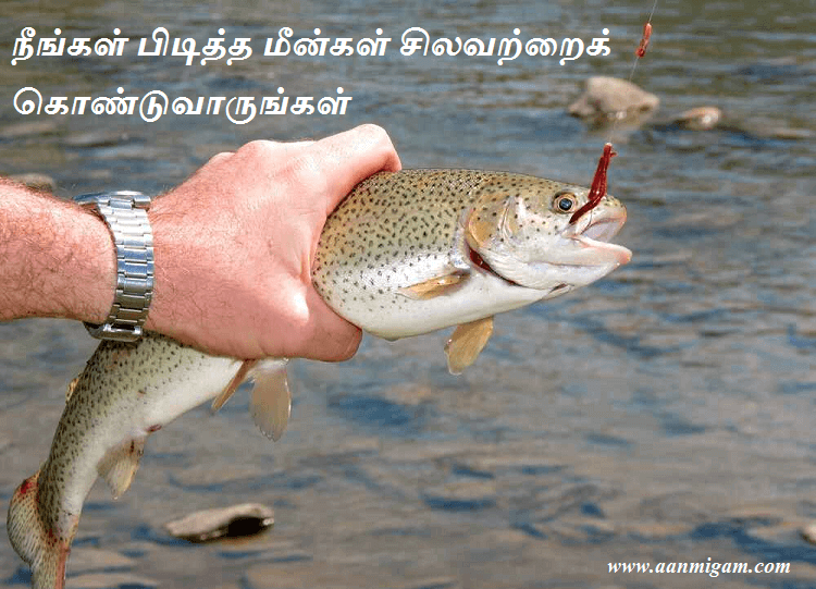 நீங்கள் பிடித்த மீன்கள் சிலவற்றைக் கொண்டுவாருங்கள்