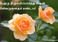 பேதுரு திரும்பிப்பார்த்து சீஷன் பின்வருவதைக் கண்டார்.
