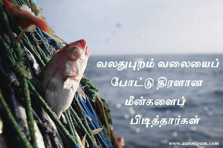 வலதுபுறம் வலையைப் போட்டு திரளான மீன்களைப் பிடித்தார்கள்வலதுபுறம் வலையைப் போட்டு திரளான மீன்களைப் பிடித்தார்கள்