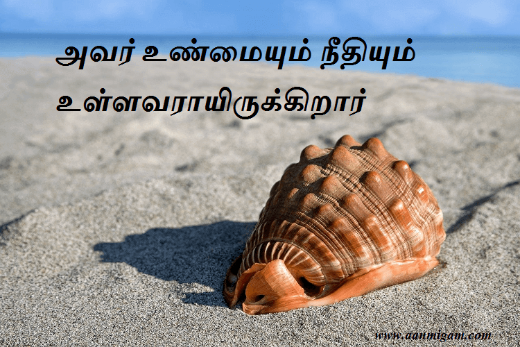 அவர் உண்மையும் நீதியும் உள்ளவராயிருக்கிறார்.