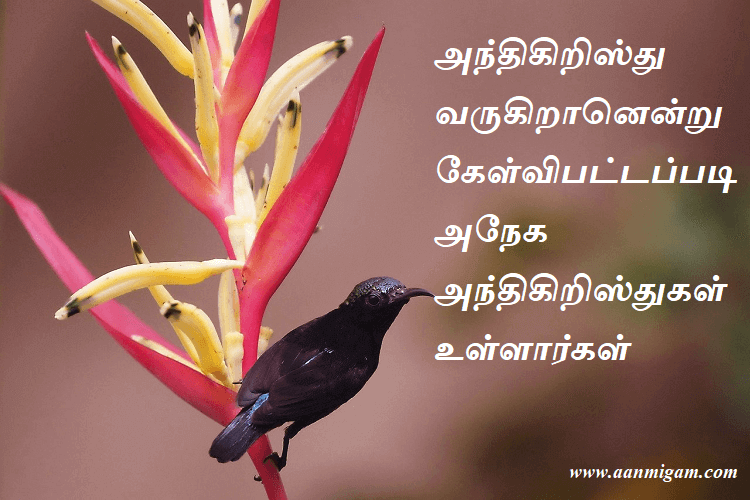 அந்திகிறிஸ்து வருகிறானென்று கேள்விபட்டப்படி அநேக அந்திகிறிஸ்துகள் உள்ளார்கள்.