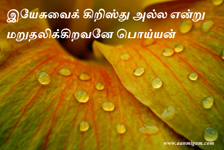 இயேசுவைக் கிறிஸ்து அல்ல என்று மறுதலிக்கிறவனே பொய்யன்