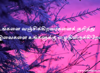 உங்களை வஞ்சிக்கிறவர்களைக் குறித்து இவைகளை உங்களுக்கு எழுதியிருக்கிறேன்