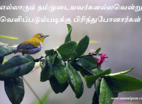 எல்லாரும் நம்முடையவர்களல்லவென்று வெளிப்படும்படிக்கு பிரிந்துபோனார்கள்