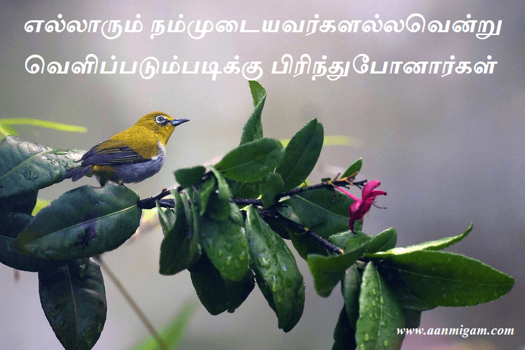 எல்லாரும் நம்முடையவர்களல்லவென்று வெளிப்படும்படிக்கு பிரிந்துபோனார்கள்