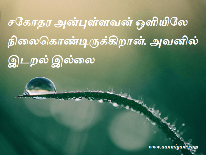 சகோதர அன்புள்ளவன் ஒளியிலே நிலைகொண்டிருக்கிறான். அவனில் இடறல் இல்லை