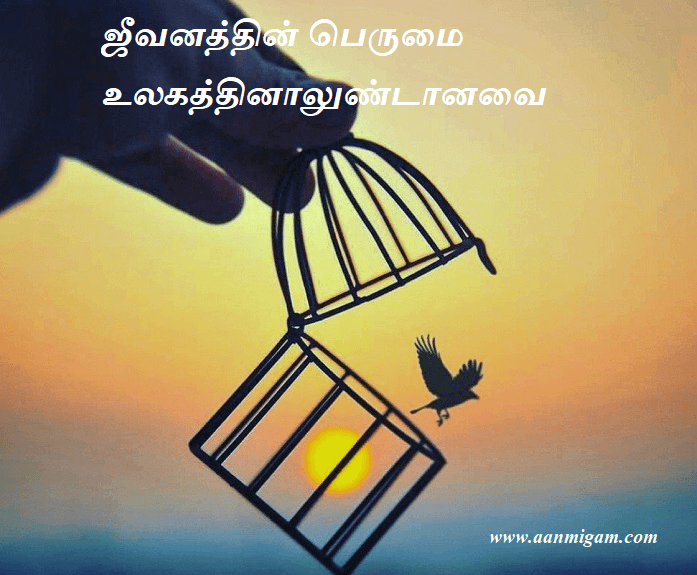 ஜீவனத்தின் பெருமை உலகத்தினாலுண்டானவை