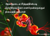 தேவனுடைய சித்தத்தின்படி செய்கிறவனோ என்றென்றைக்கும் நிலைத்திருப்பான்