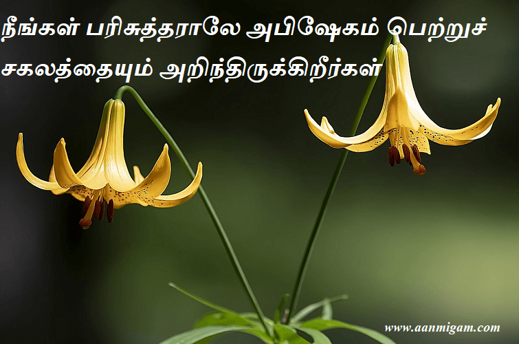 நீங்கள் பரிசுத்தராலே அபிஷேகம் பெற்றுச் சகலத்தையும் அறிந்திருக்கிறீர்கள்.